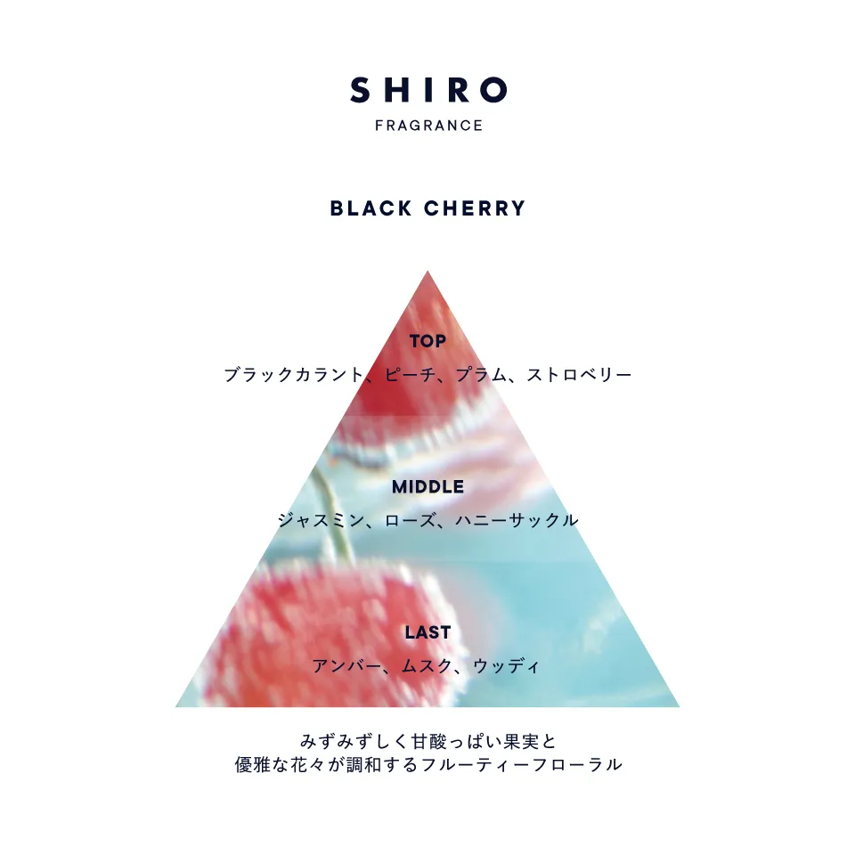[限定] SHIRO Black Cherry Fragrance Diffuser 室內擴香 180ml