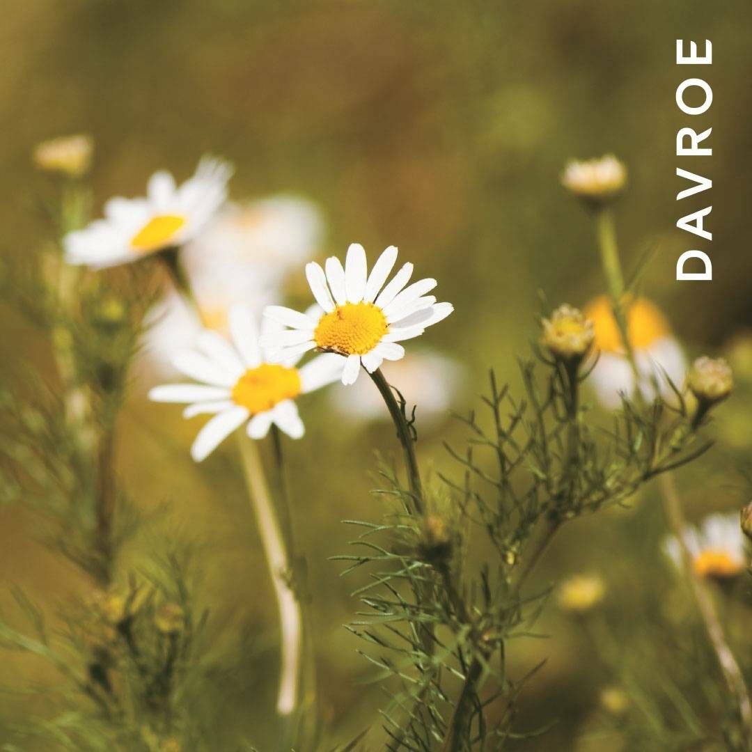 DAVROE 光感抗熱噴霧 200ML