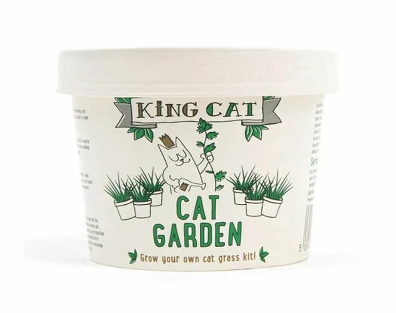 King CatNip 自種貓草