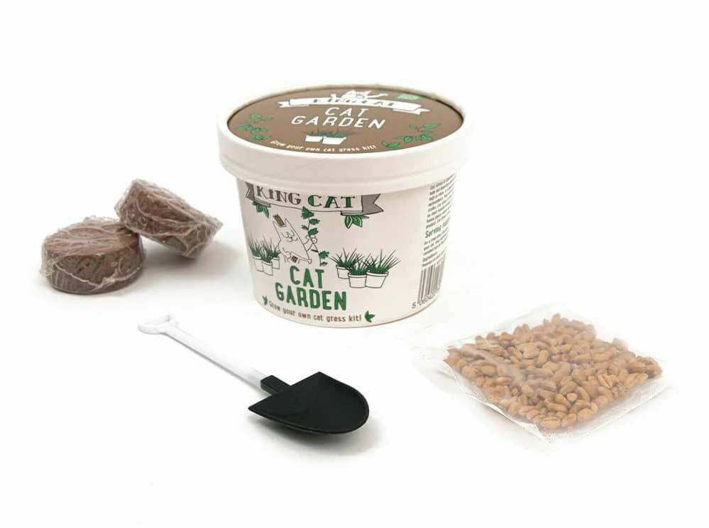 King CatNip 自種貓草