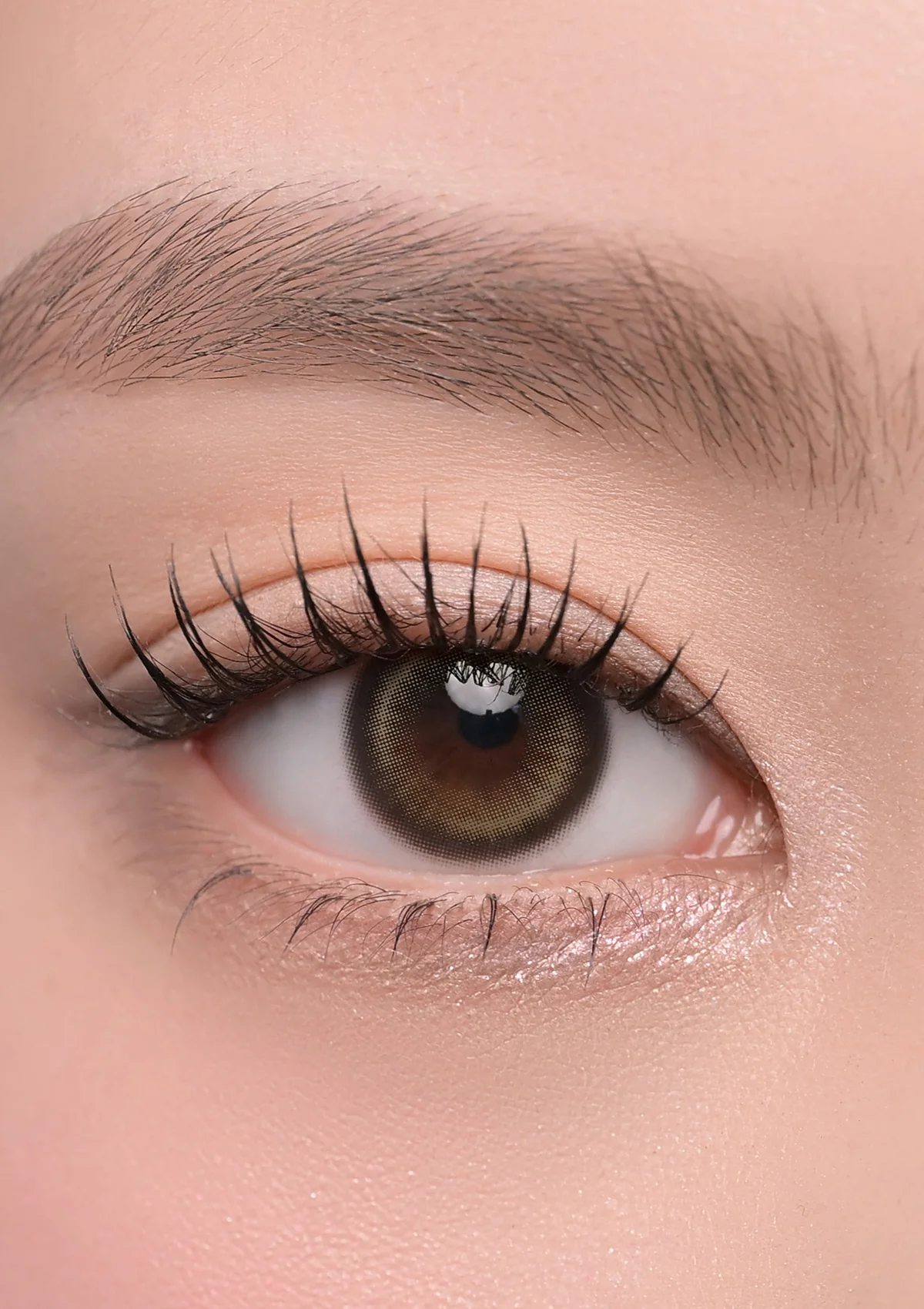 [日拋] CHUU LENS Lily Daze 1 Day Sun Leaf 暖陽葉綠 日拋彩妝隱形眼鏡｜每盒10片