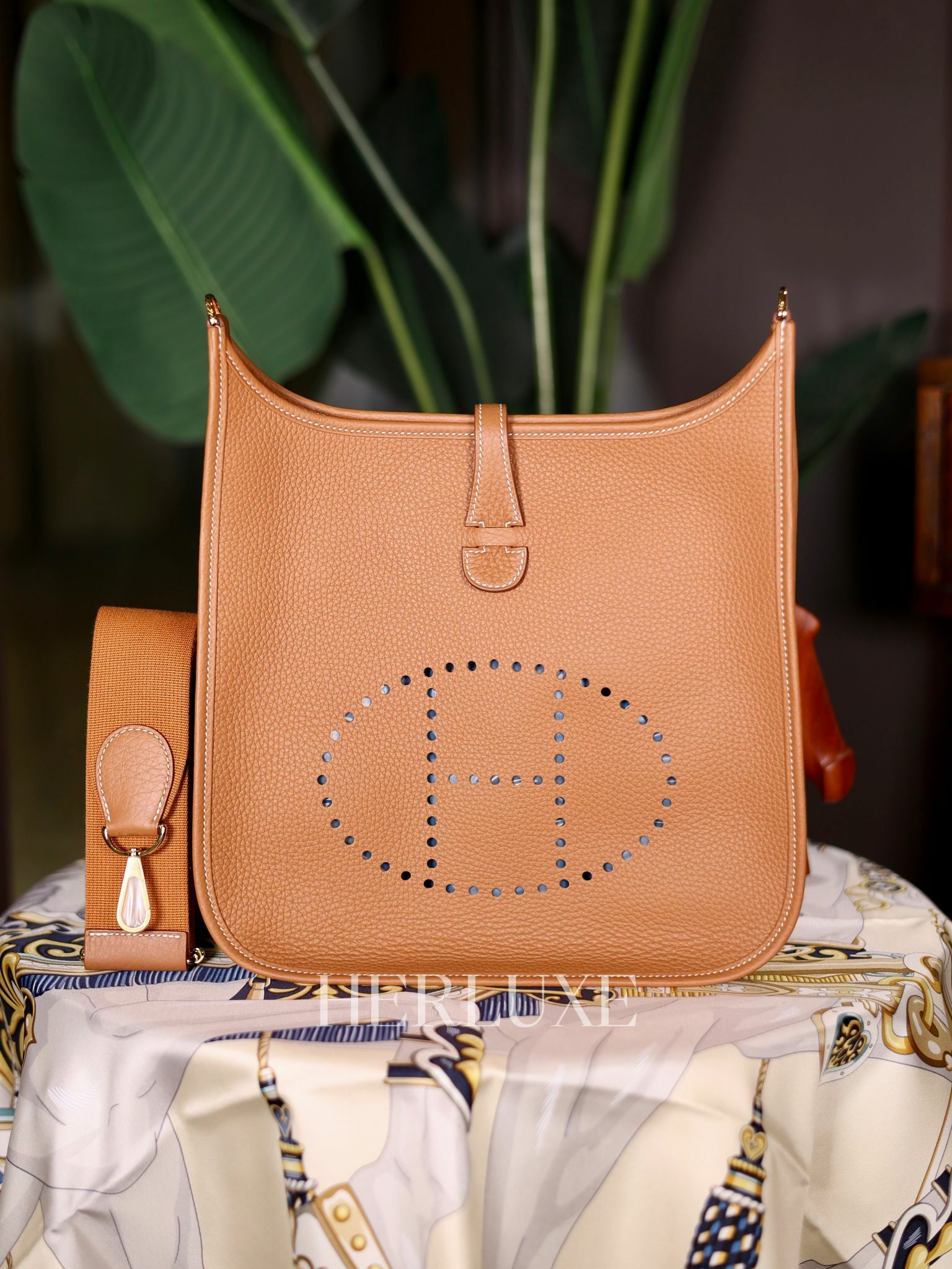 Evelyne 29 37 gold cc tc K