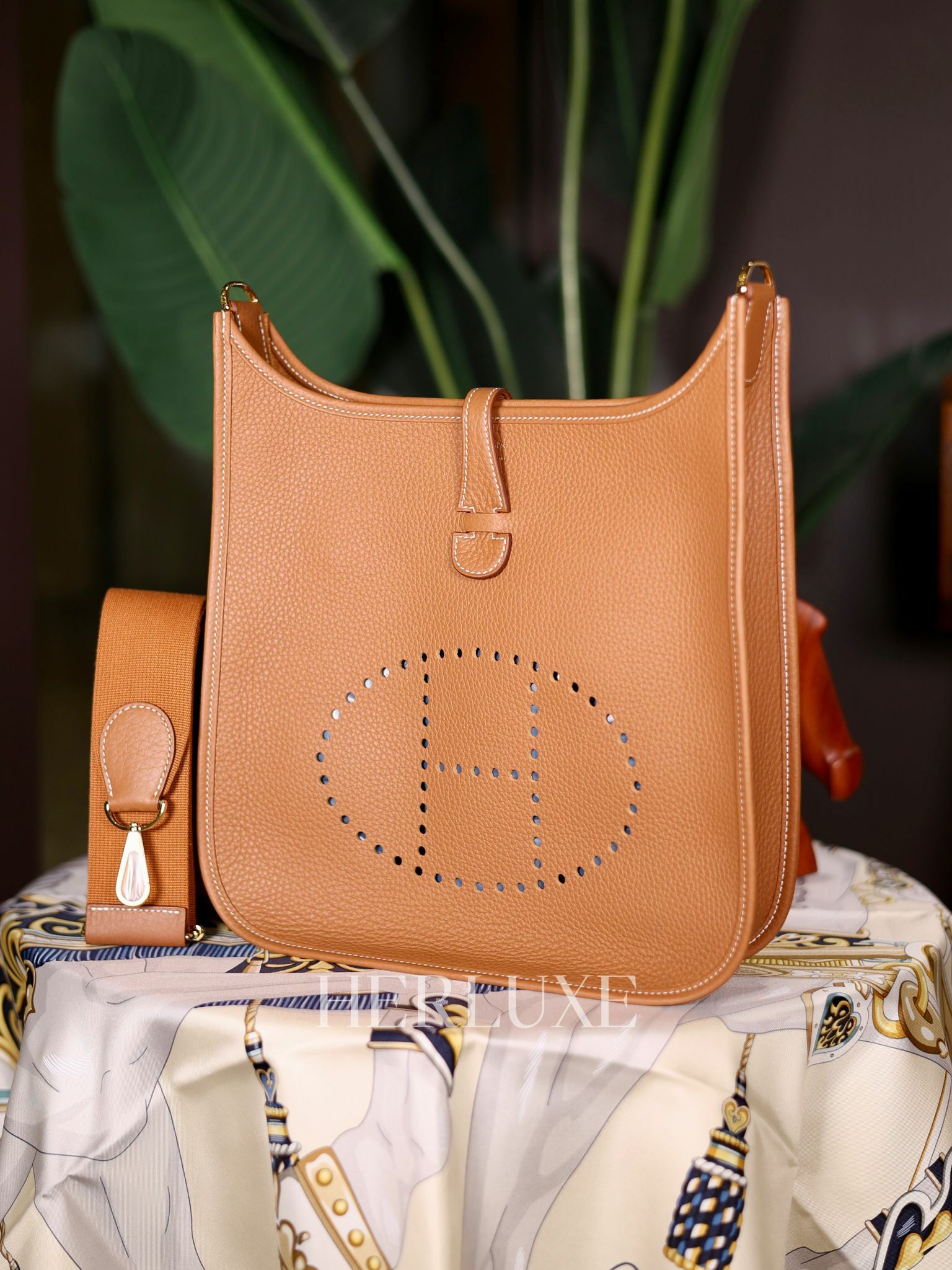 Evelyne 29 37 gold cc tc K