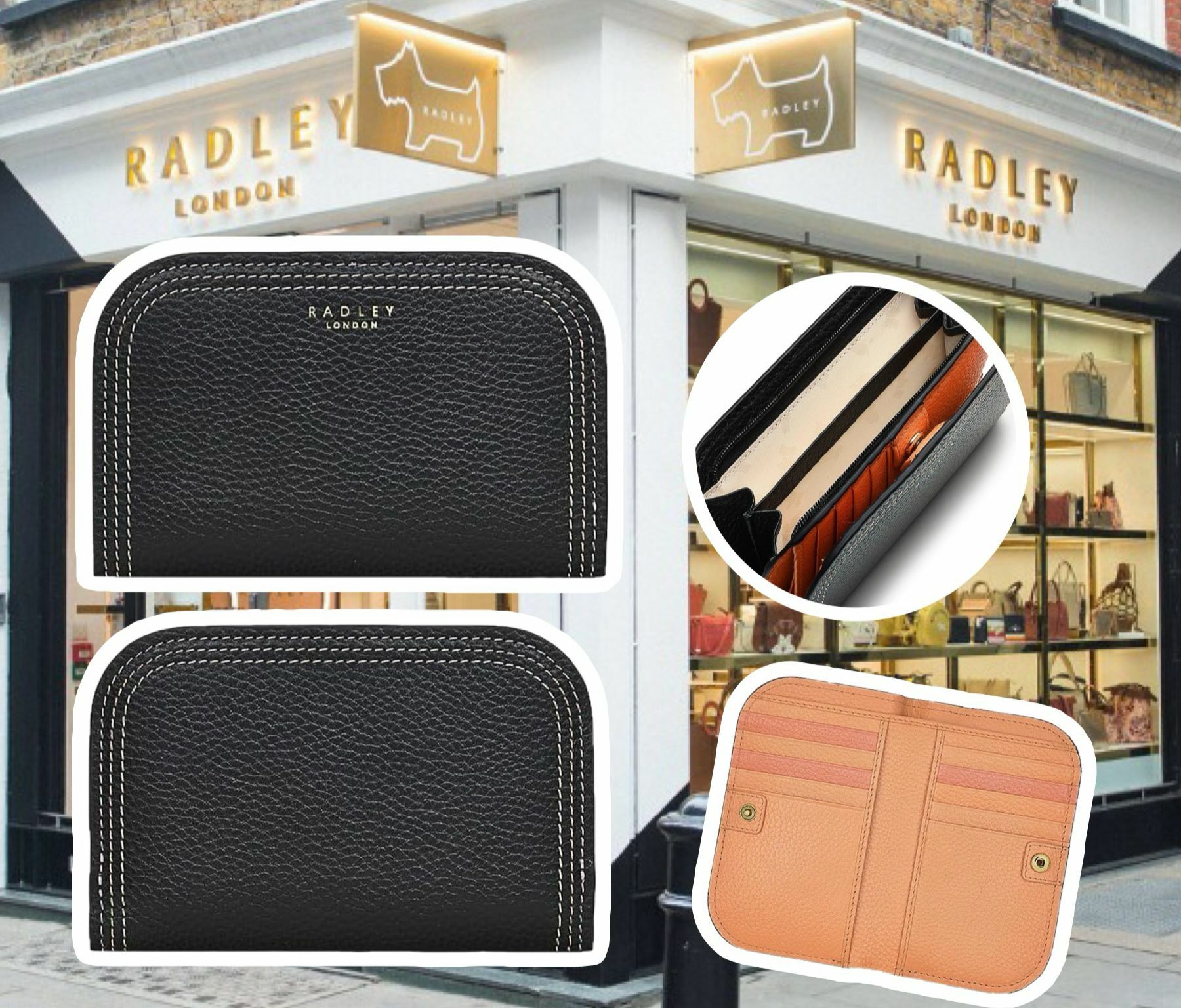 【直播】RADLEY LONDON L050214 圓邊銀包