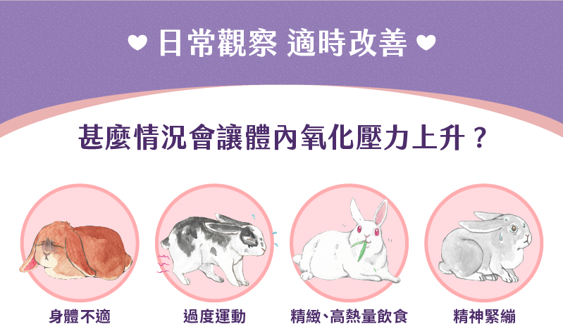 日常觀察 適時改善 甚麼情況會讓體內氧化壓力上升? 身體不適 過度運動 精緻高熱量飲食 精神緊繃