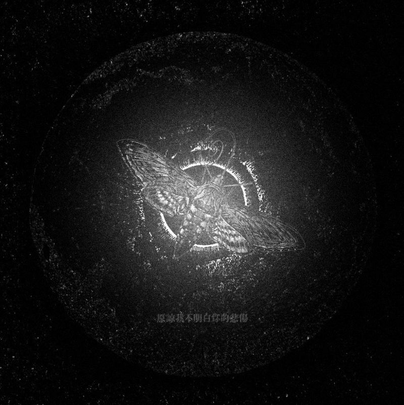 那我懂你意思了《原諒我不明白你的悲傷》（CD）