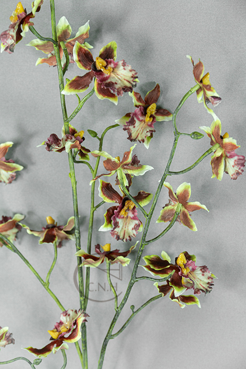 出清品人造花/跳躍蘭花/GR/BUR