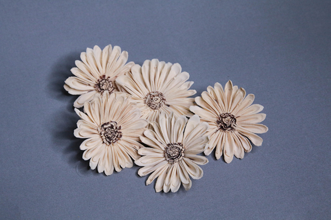 索拉花 圓邊向日葵