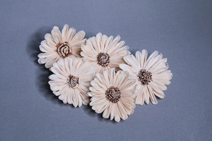 索拉花 圓邊向日葵