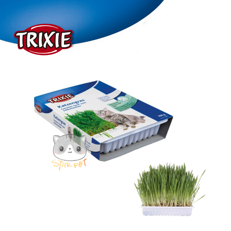 TRIXIE Cat Grass 100g