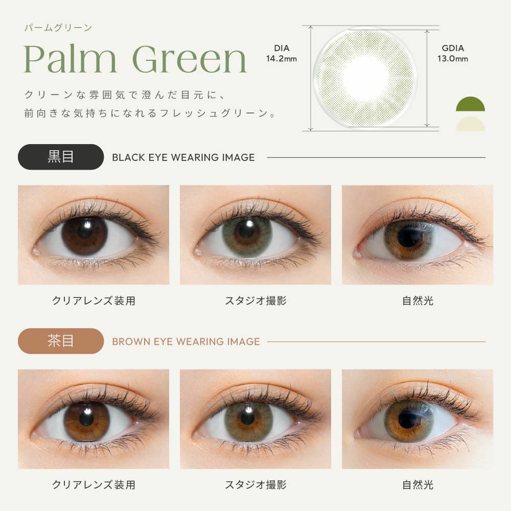 [日拋] Perse 1 Day 04 Palm Green｜彩妝隱形眼鏡｜每盒10片