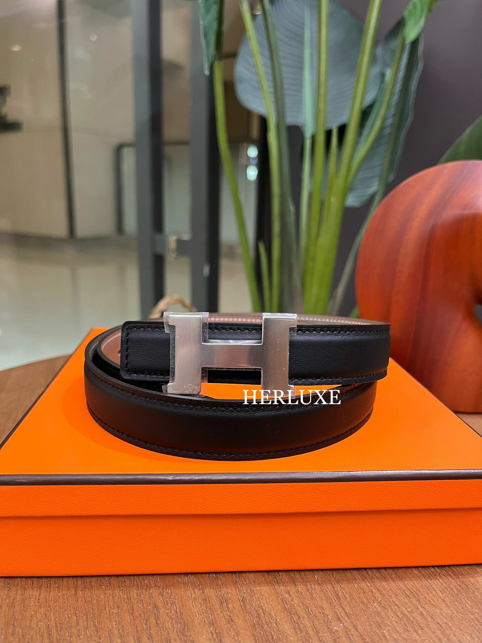 Mini Constance belt 24mm CK