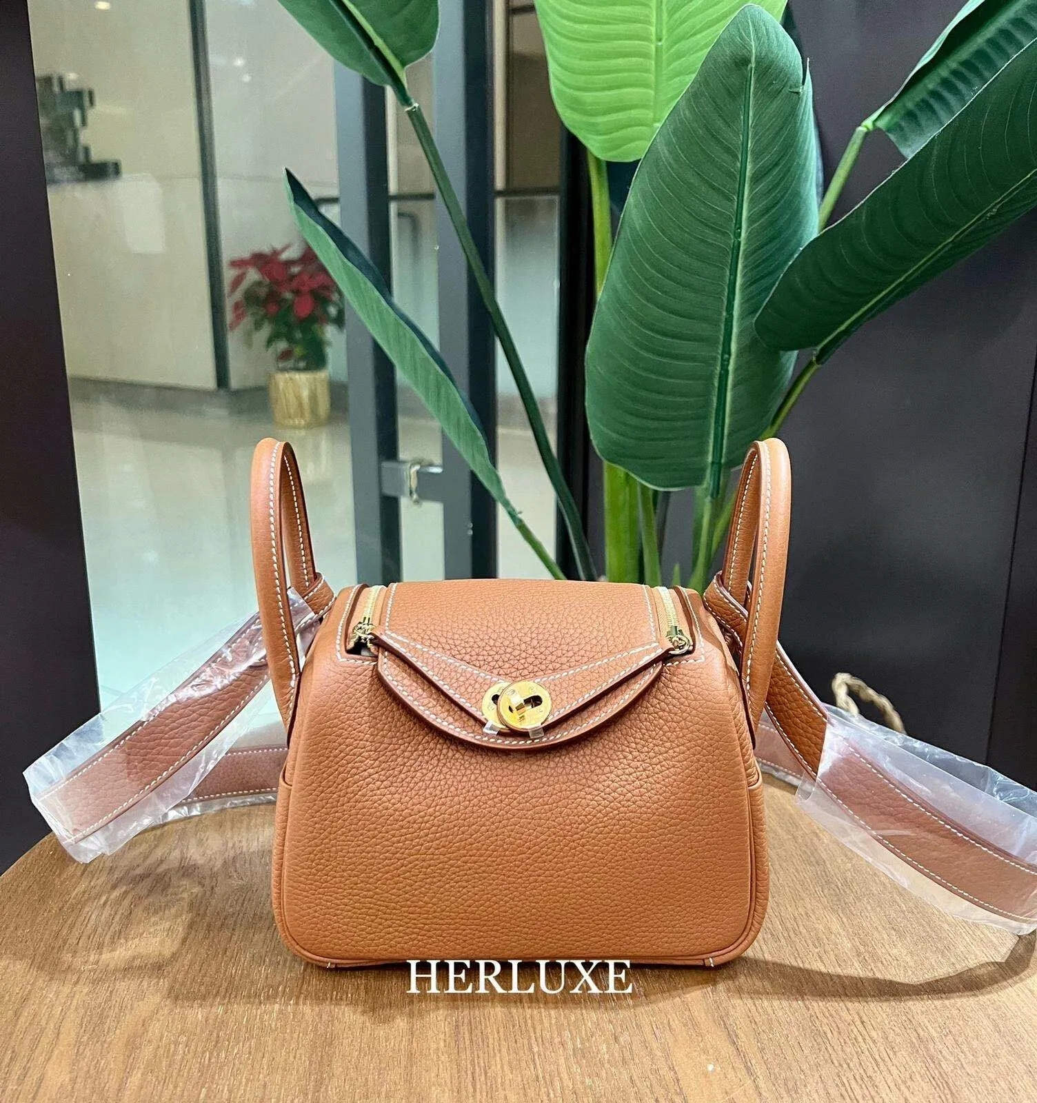 Lindy mini ii 37 gold cc tc （二代：肩帶長92cm)