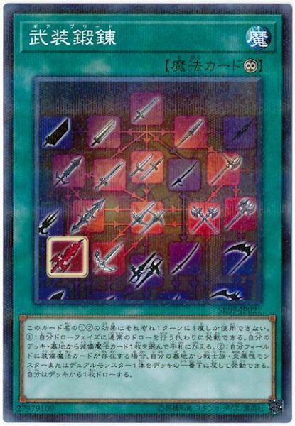 SR09-JP021 (NPR) 武装鍛錬 (武裝鍛鍊)