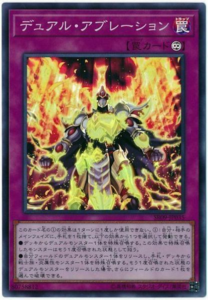 SR09-JP035  (SR)デュアル・アブレーション (二重消融)