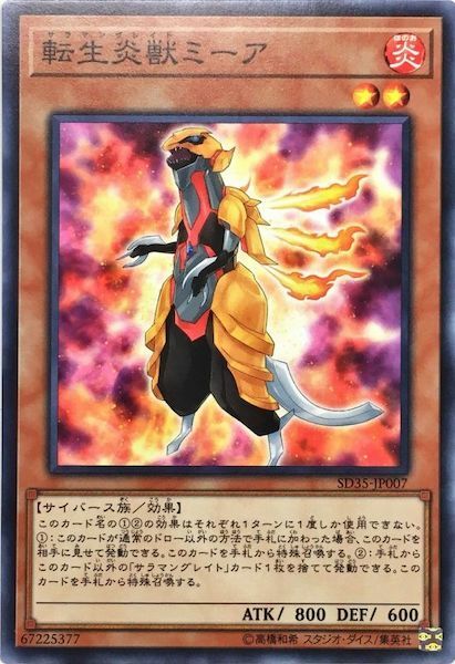 SD35-JP007 転生炎獣ミーア(轉生炎獸 狐獴)