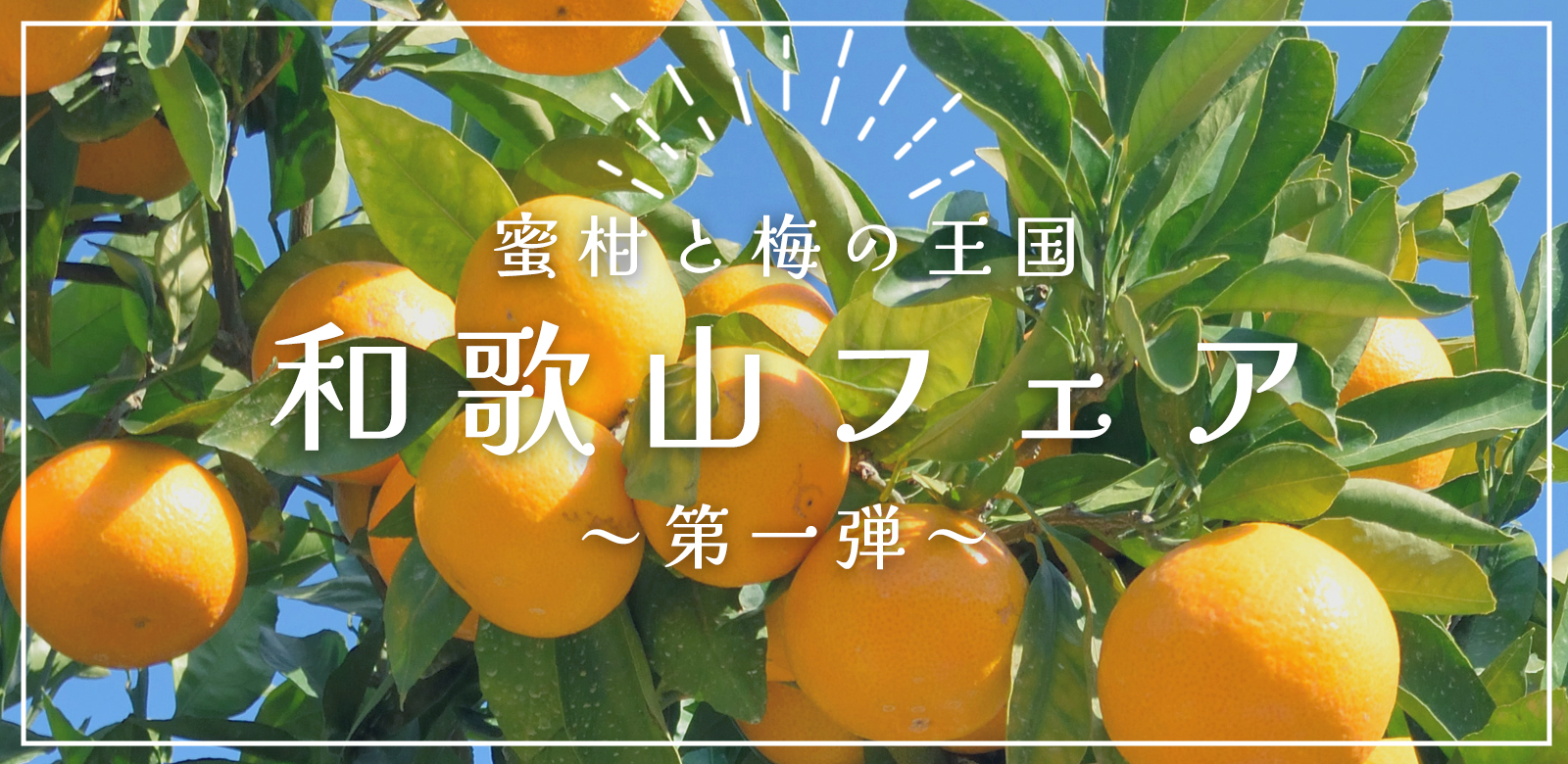 蜜柑と梅の王国　和歌山フェア第一弾