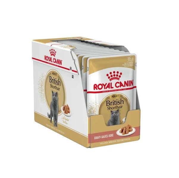 法國皇家 FBN 英國短毛成貓專屬主食濕糧（肉汁）85G (原箱12包)