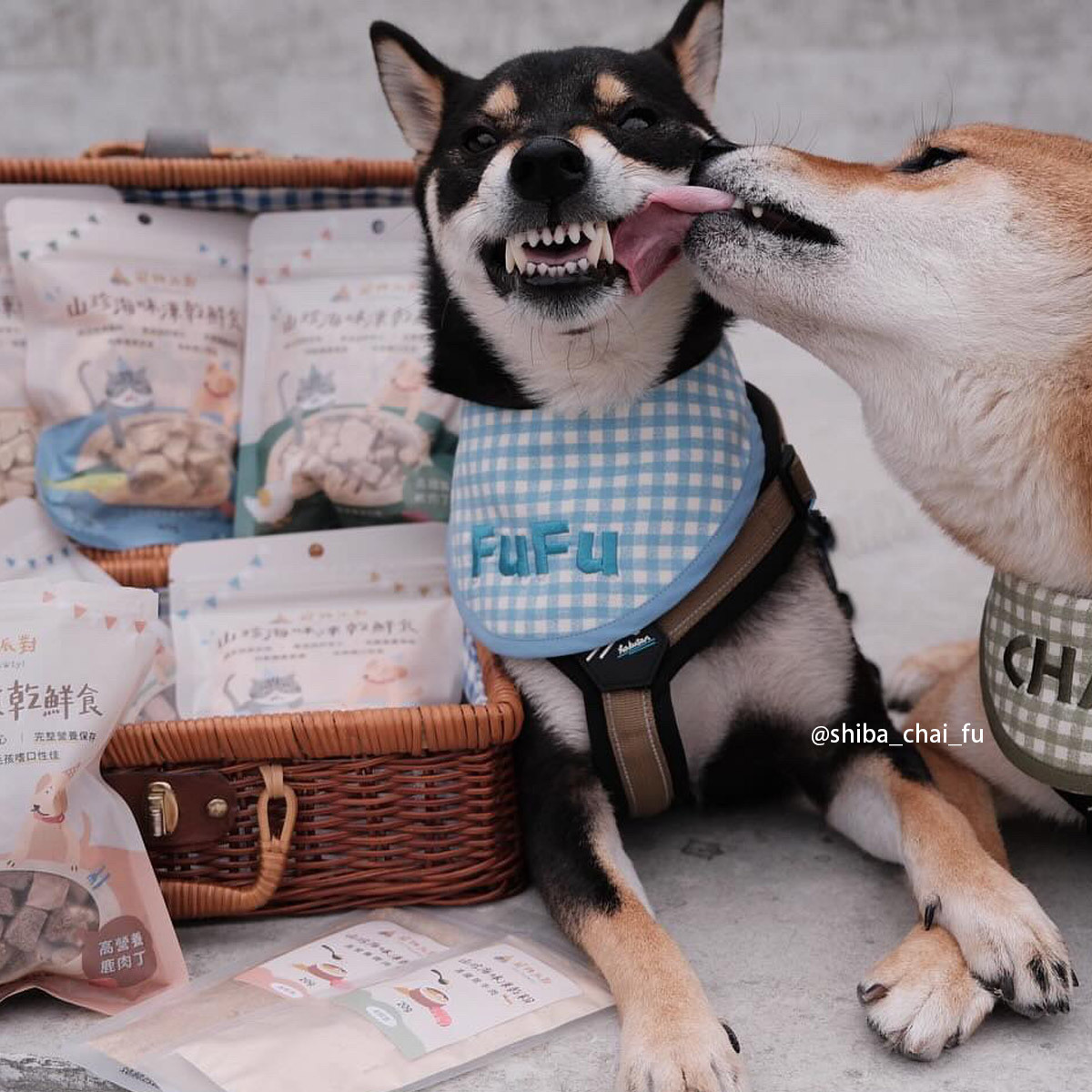 高鐵質鴨肉丁 50公克 (6入)