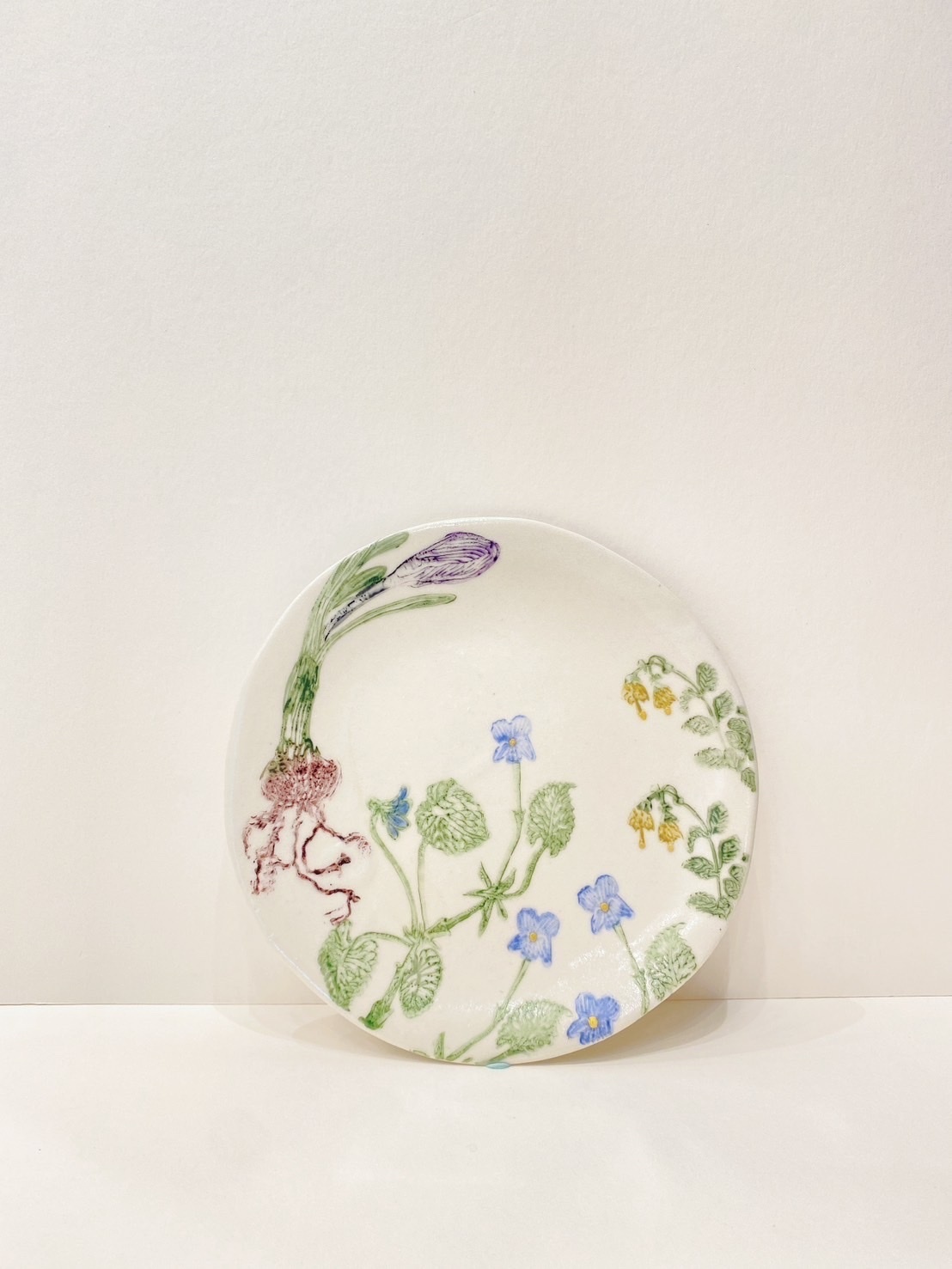 花繪中小盤