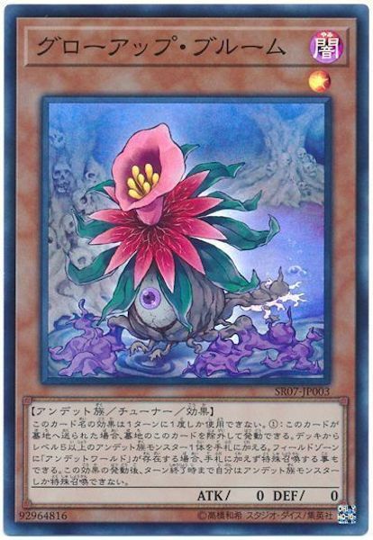 SR07-JP003  (SR)グローアップ・ブルーム (成長花朵)