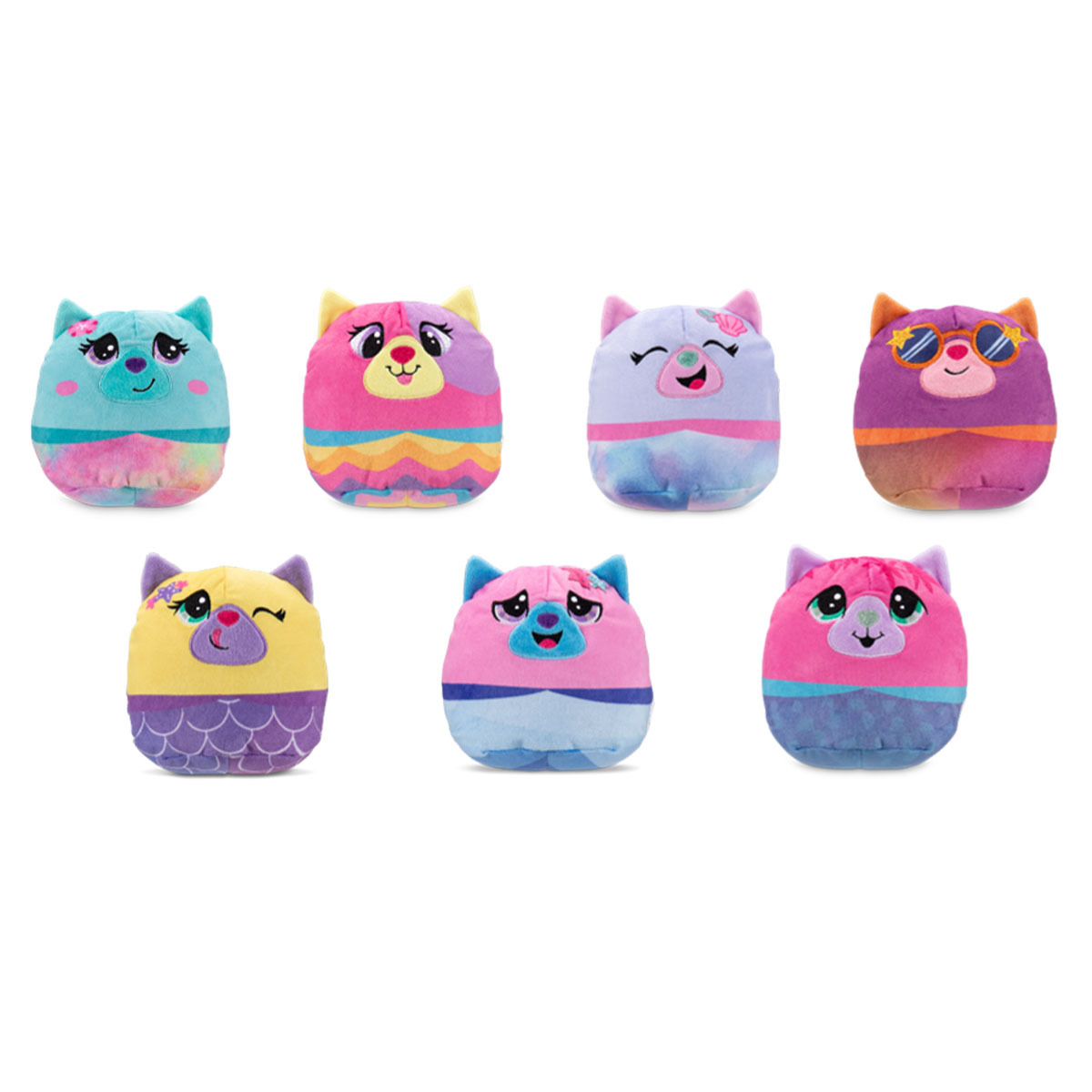 魚缸小貓-第二彈