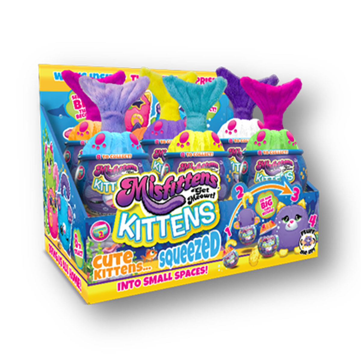 魚缸小貓-第二彈