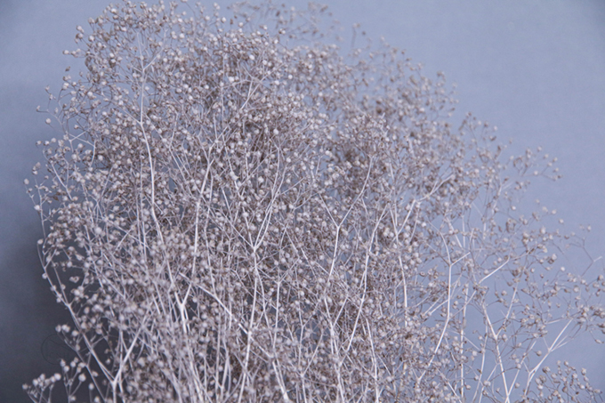 迷你滿天星FD004551-201 灰