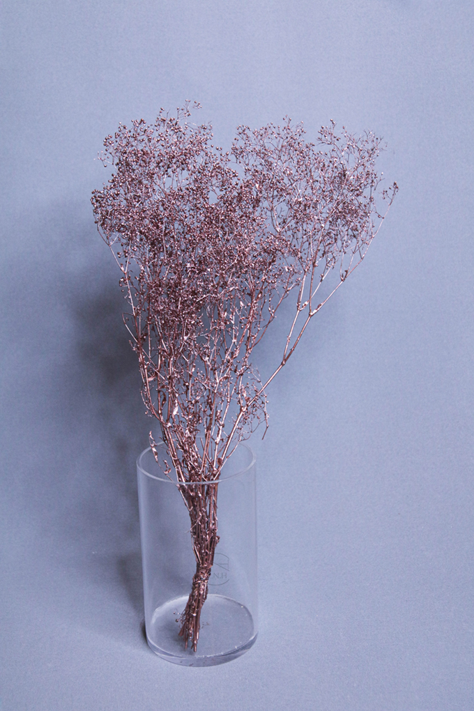 乾燥花 迷你滿天星DT074401 玫瑰金