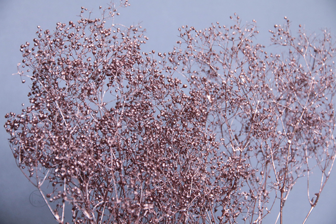 乾燥花 迷你滿天星DT074401 玫瑰金