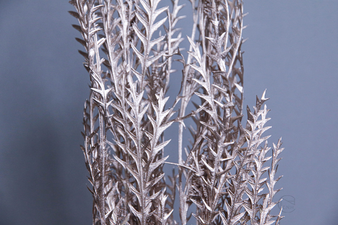 乾燥花 乾燥樹枝葉 銀色