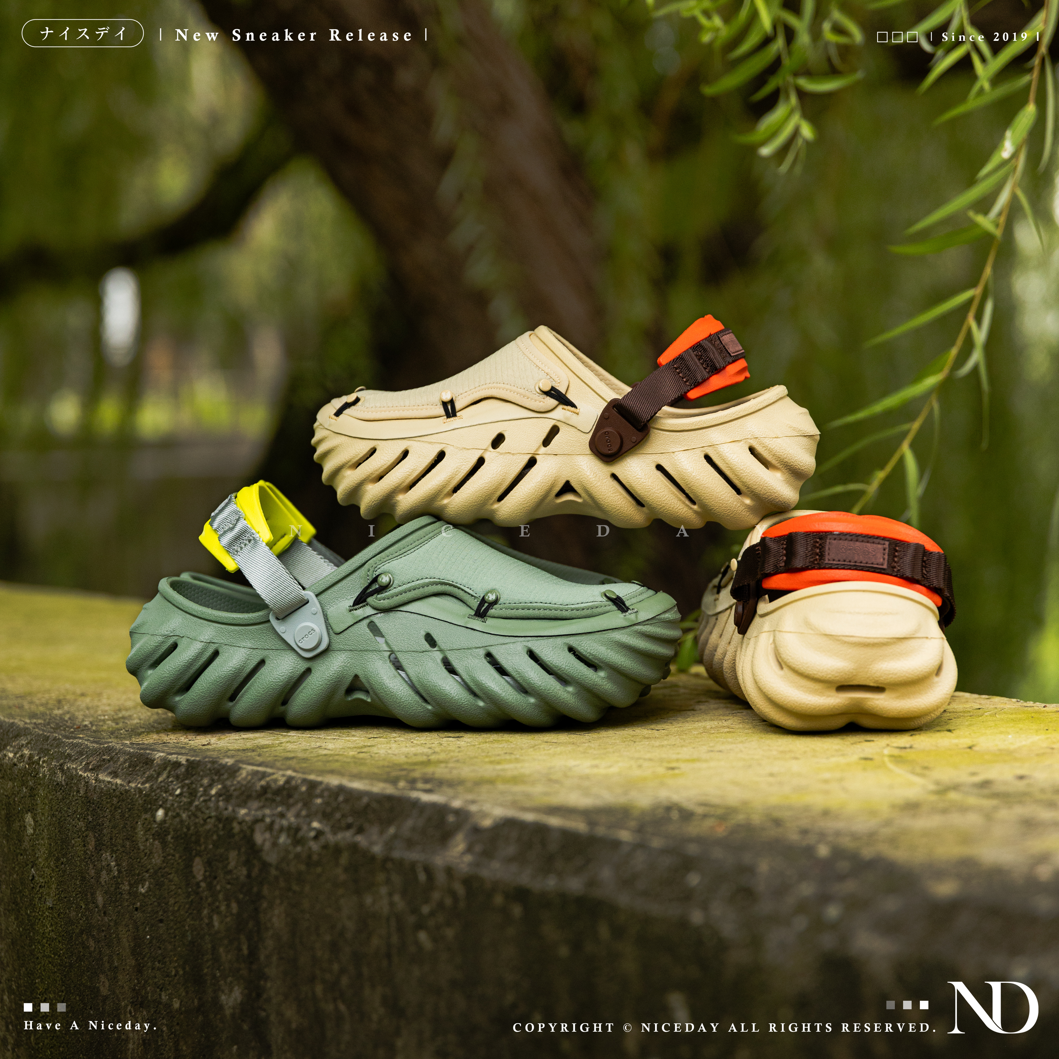 NICEDAY 現貨 Crocs Classic Crush 洞洞鞋 波波 天幕 奶茶 抹茶綠 男女尺寸