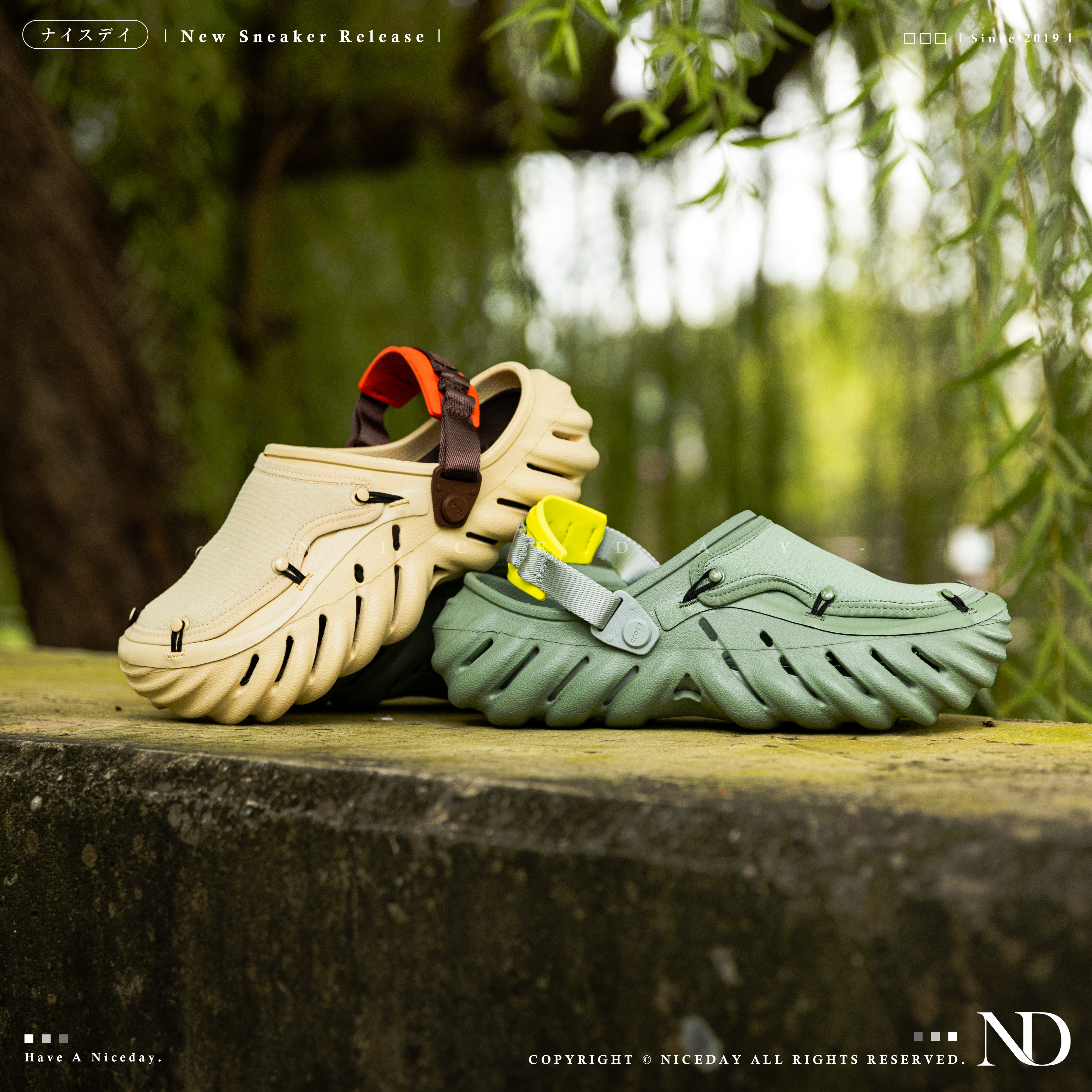 NICEDAY 現貨 Crocs Classic Crush 洞洞鞋 波波 天幕 奶茶 抹茶綠 男女尺寸