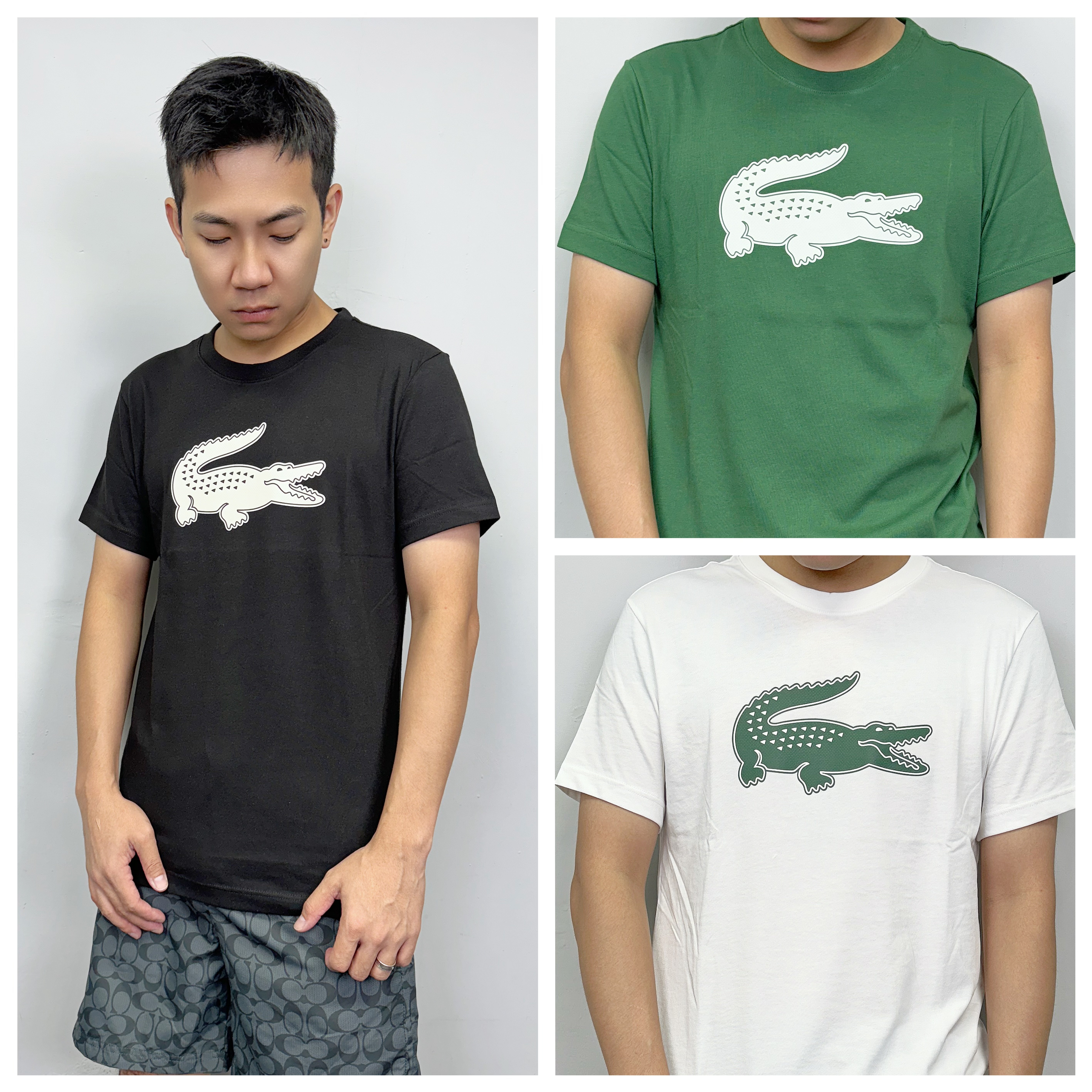 Lacoste 鱷魚 膠印大Logo 涼感 透氣 短袖T恤 短T