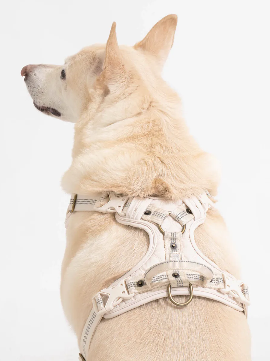 【horhorjoy】好好散步友善胸背帶 | 鉑金款 (白)