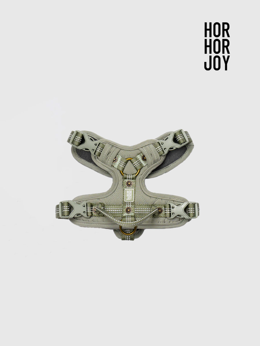 【horhorjoy】好好散步友善胸背帶 | 鉑金款 (綠)