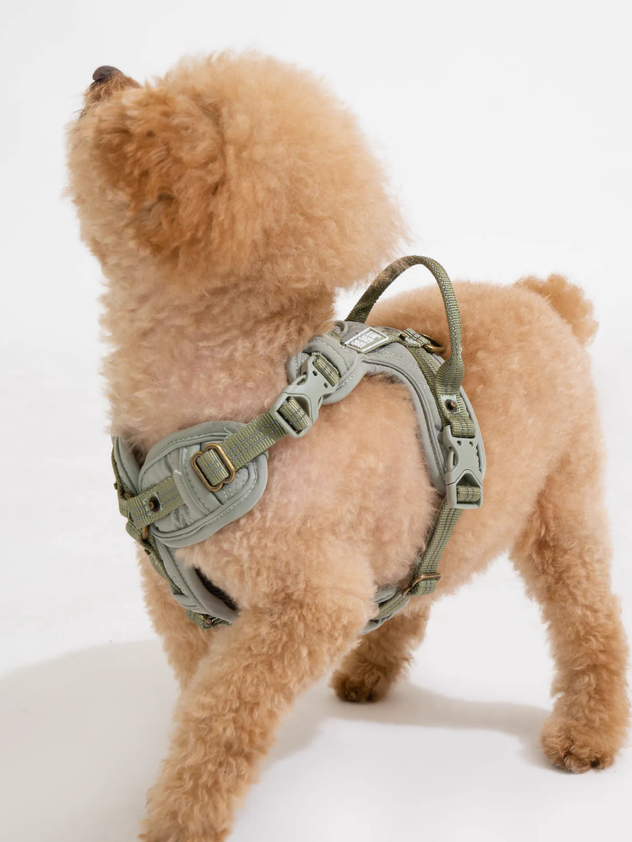 【horhorjoy】好好散步友善胸背帶 | 鉑金款 (綠)