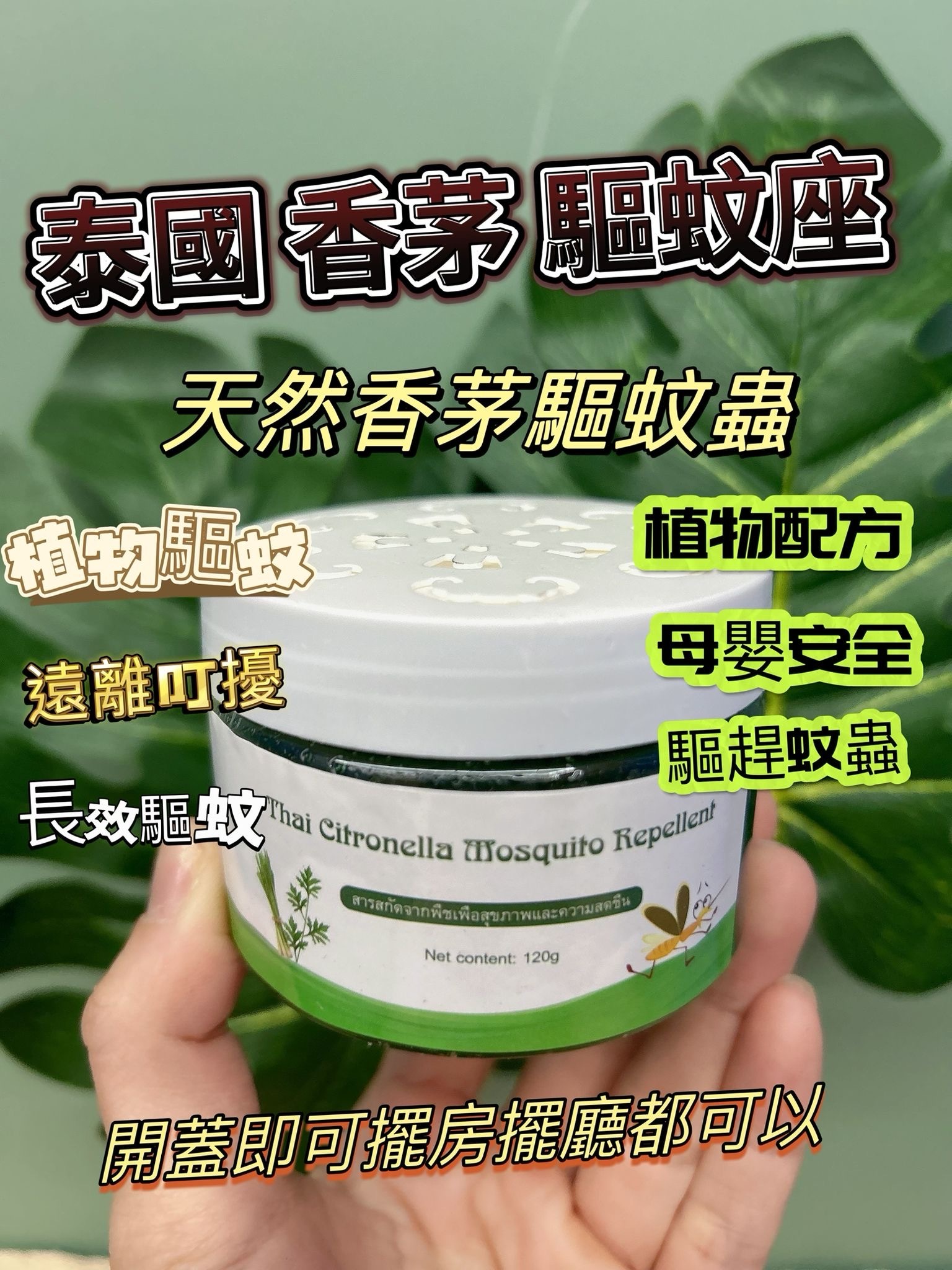 泰國天然香茅香茅驅蚊座 驅蚊 驅蟲