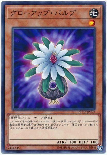 SD32-JP021 グローアップ・バルブ(成長球莖)