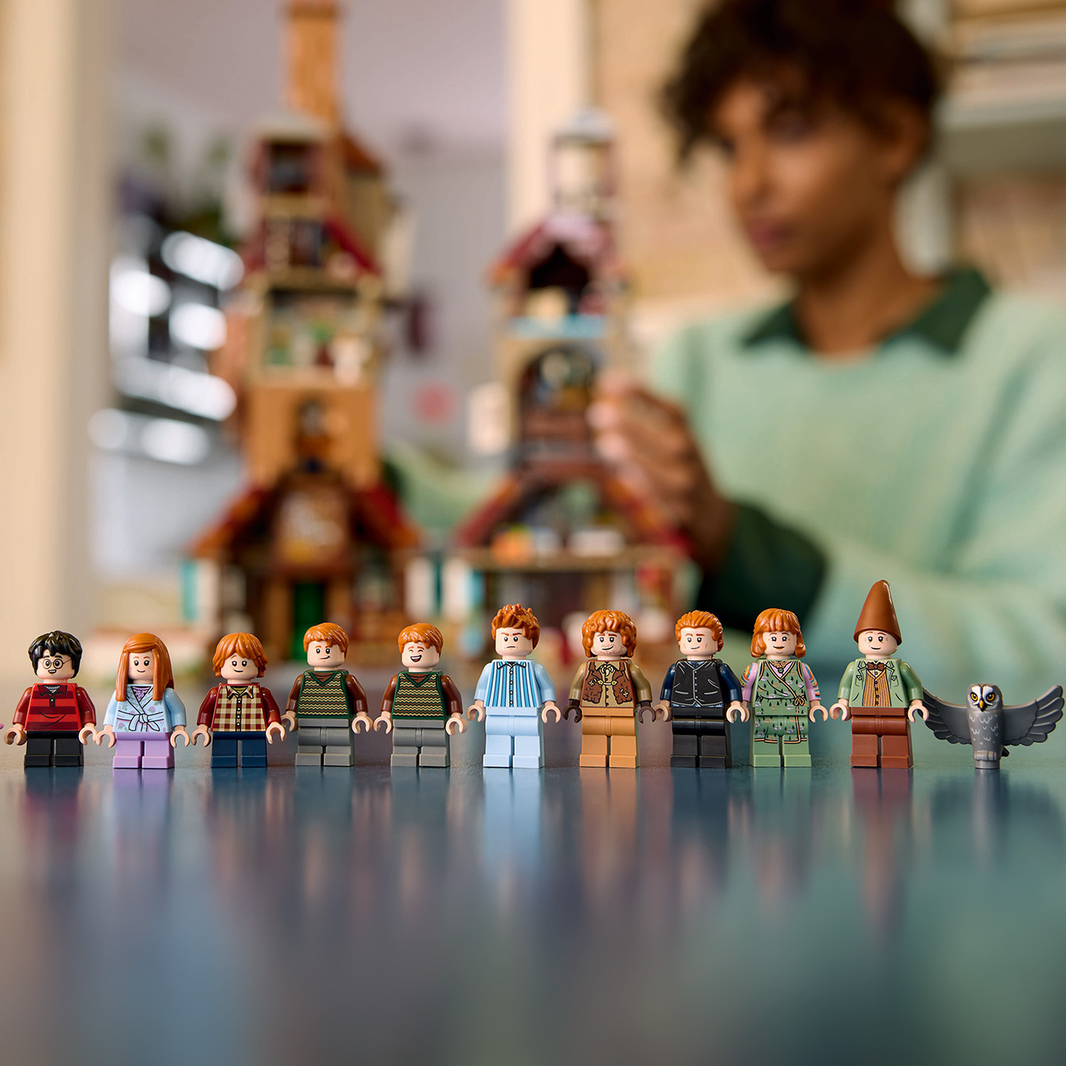 76437 The Burrow – Collectors' Edition