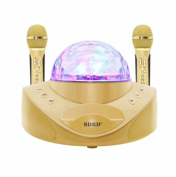 Portable Bluetooth Microphone Speaker (Gold)