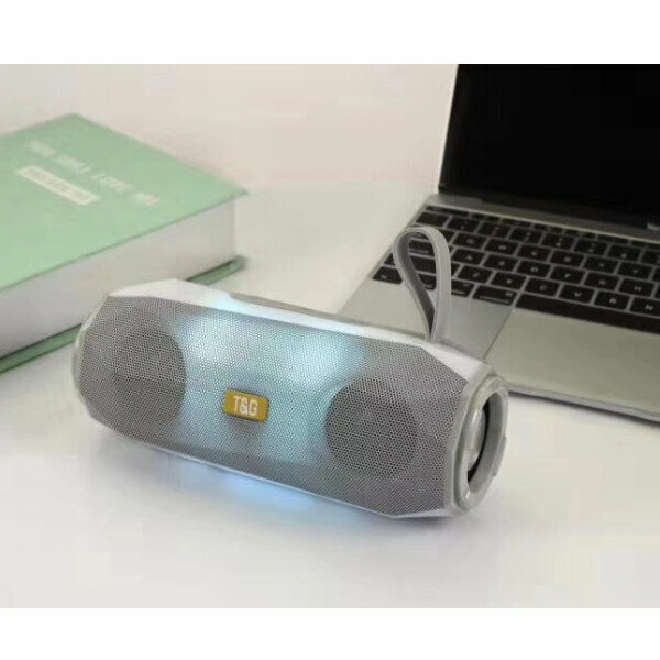 Outdoor portable bluetooth speaker (silver gray)