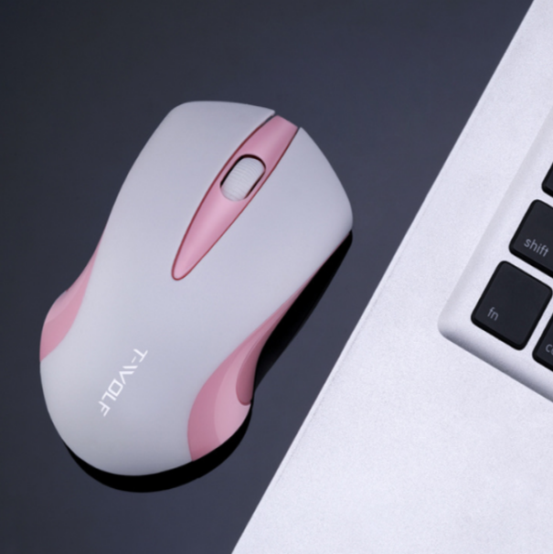 USB Wireless Mouse (Thunderwolf Q2 White Upgrade)