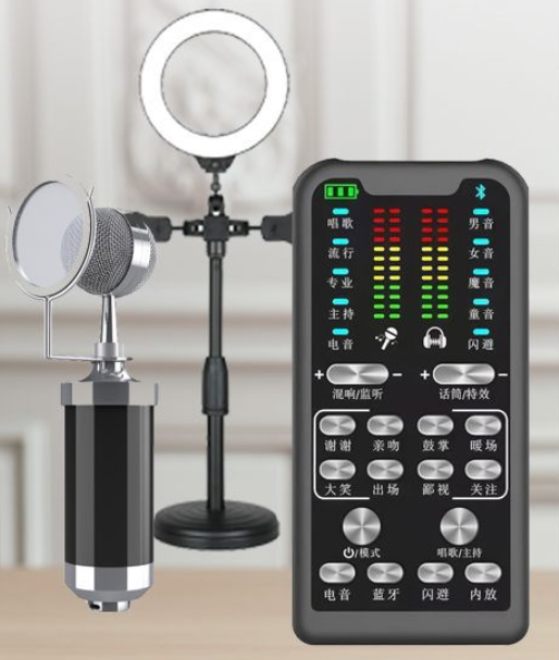 S16 Live Streaming Set (S16 + Baby Bottle Black + Duck Palm Microphone Stand + 16CM Fill Light Desktop Stand + Headset + OTG (Choose One of the Two))