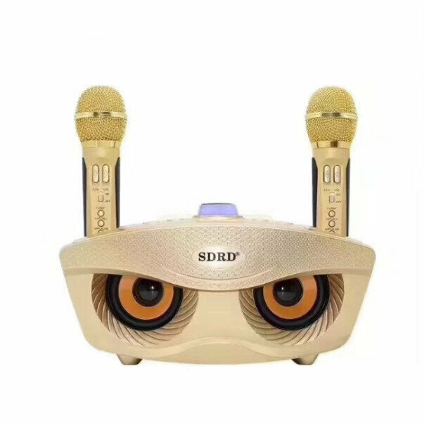 Duo Chorus Bluetooth Wireless Microphone (Rose Gold)