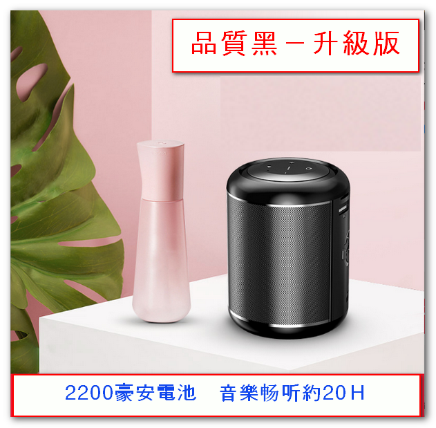 Mini Smart Speaker - Quality Black (Upgraded)