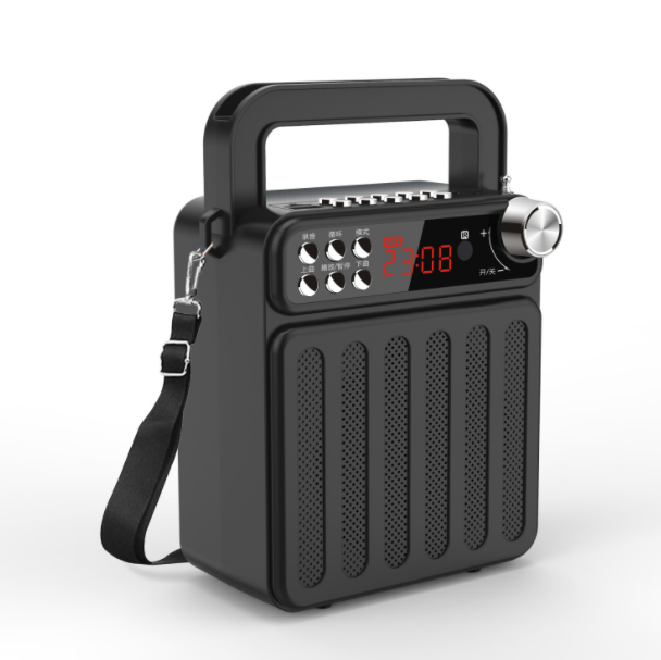 Bluetooth portable wireless audio (dual electric black + remote control + strap + external wireless microphone + 16G)