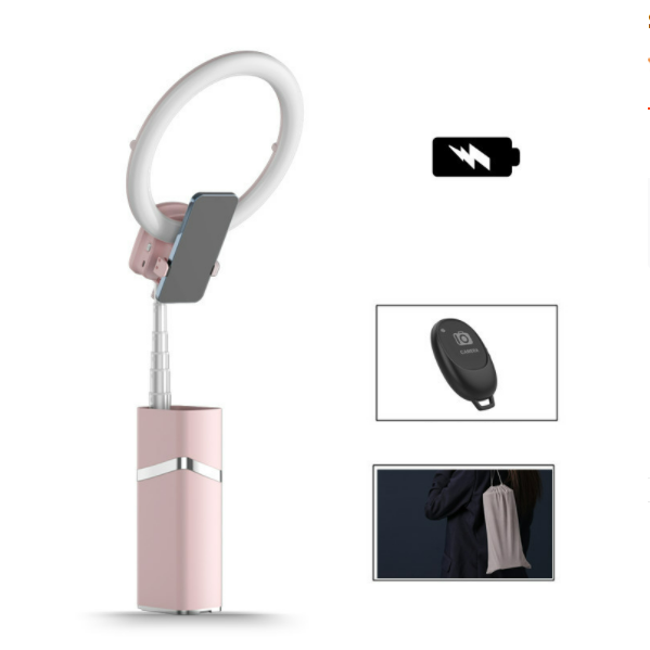 Mobile Phone Live Streaming Bracket (4000mAH Pink Multi-function 1.93m All-in-One Live Streaming Light with Remote Control)