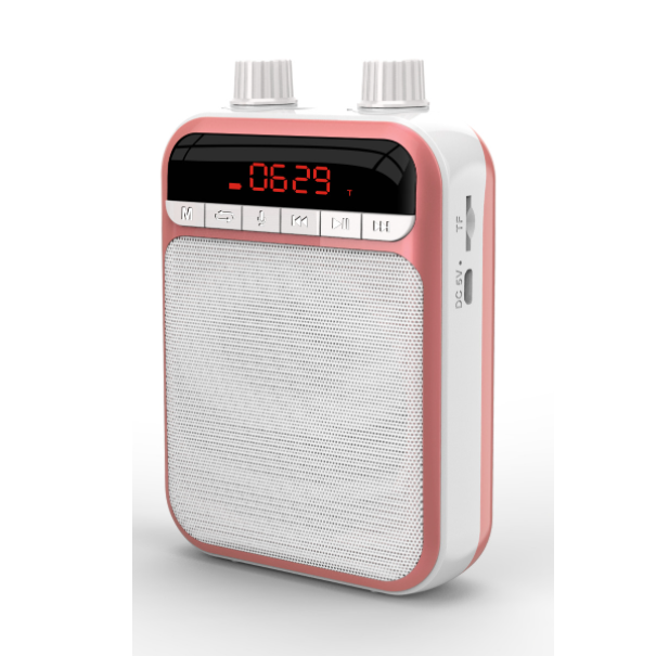 Wireless Outdoor Speaker (Pink)