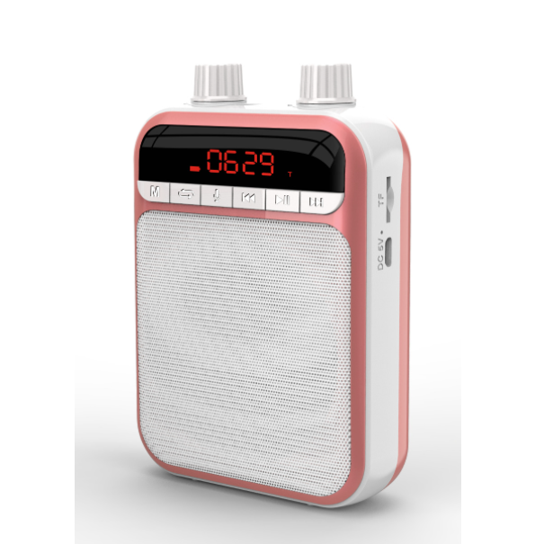 Wireless Outdoor Speaker (with Wireless Receiver Pink)